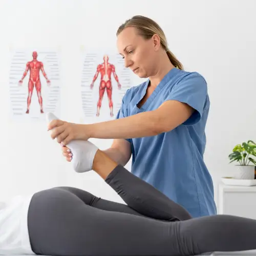 Anatomia Aplicada à Fisioterapia - 6 meses