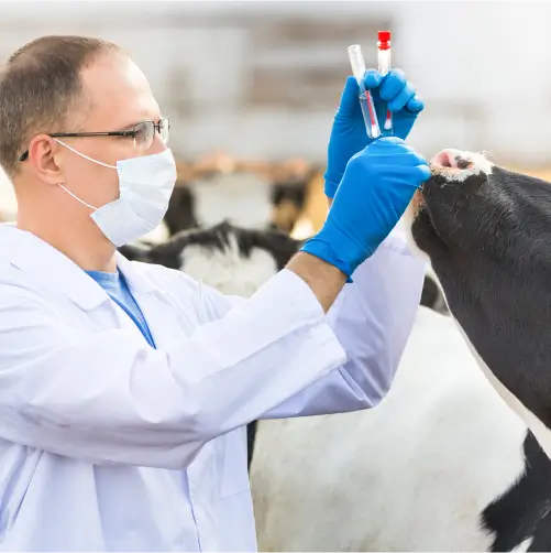 Epidemiologia Veterinária - 6 meses