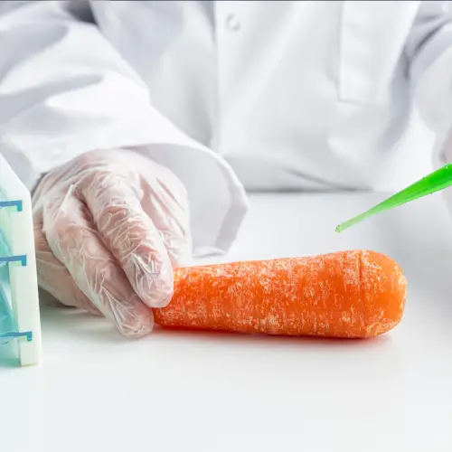 Bioquímica dos Alimentos - 6 meses