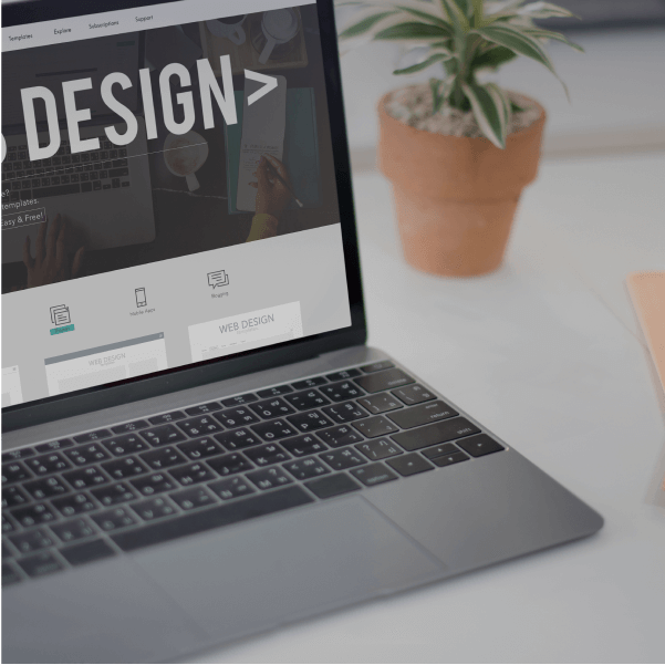 Curso de Web Designer em Wordpress - 6 meses